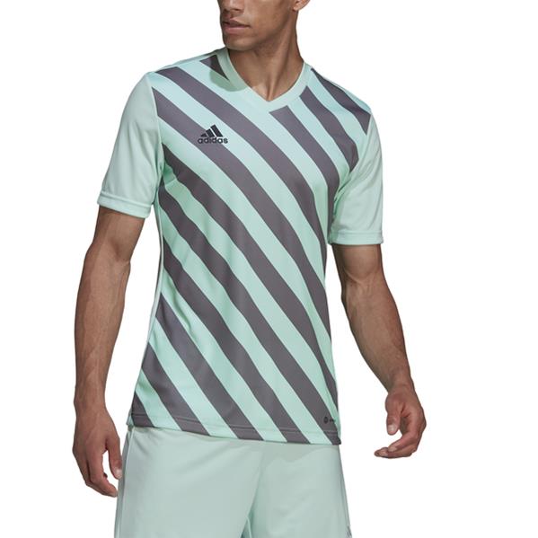 adidas Entrada 22 GFX Clear Mint/Team Grey Four Football Shirt